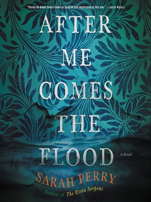 cover image of After Me Comes the Flood